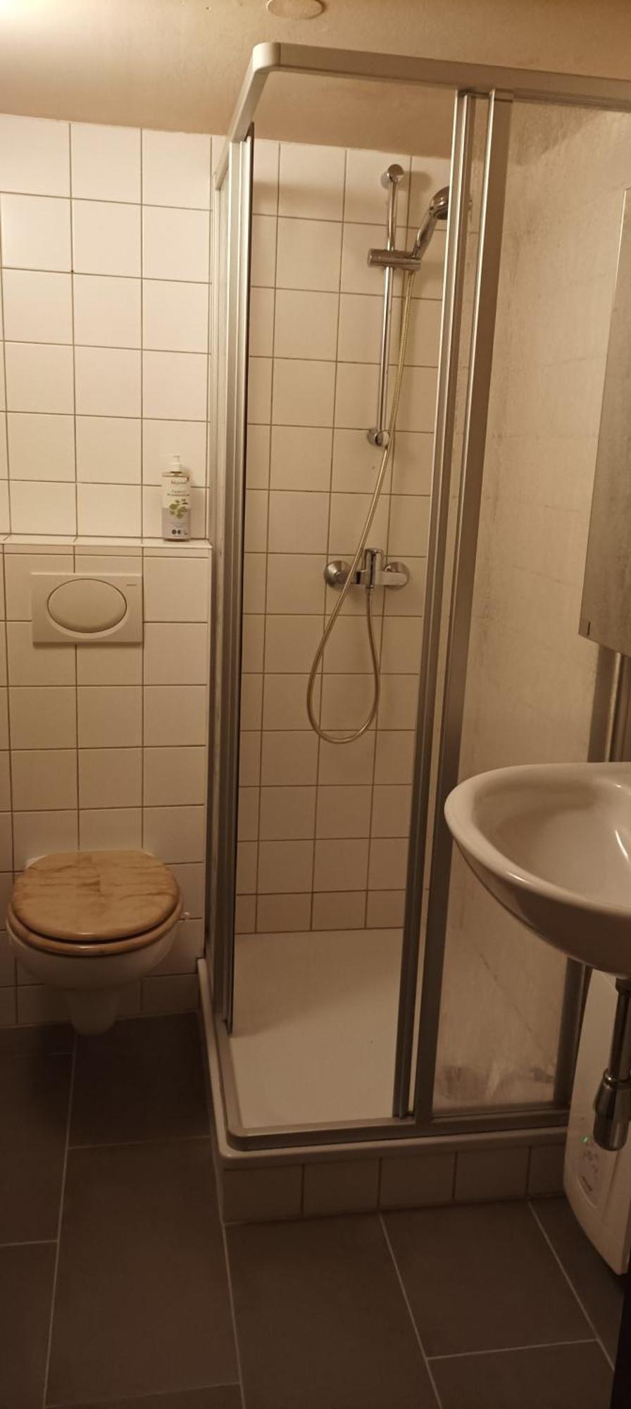 Altmuehle Apartment Altlengbach Bagian luar foto